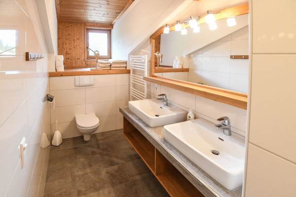 Wohnung Dachstein